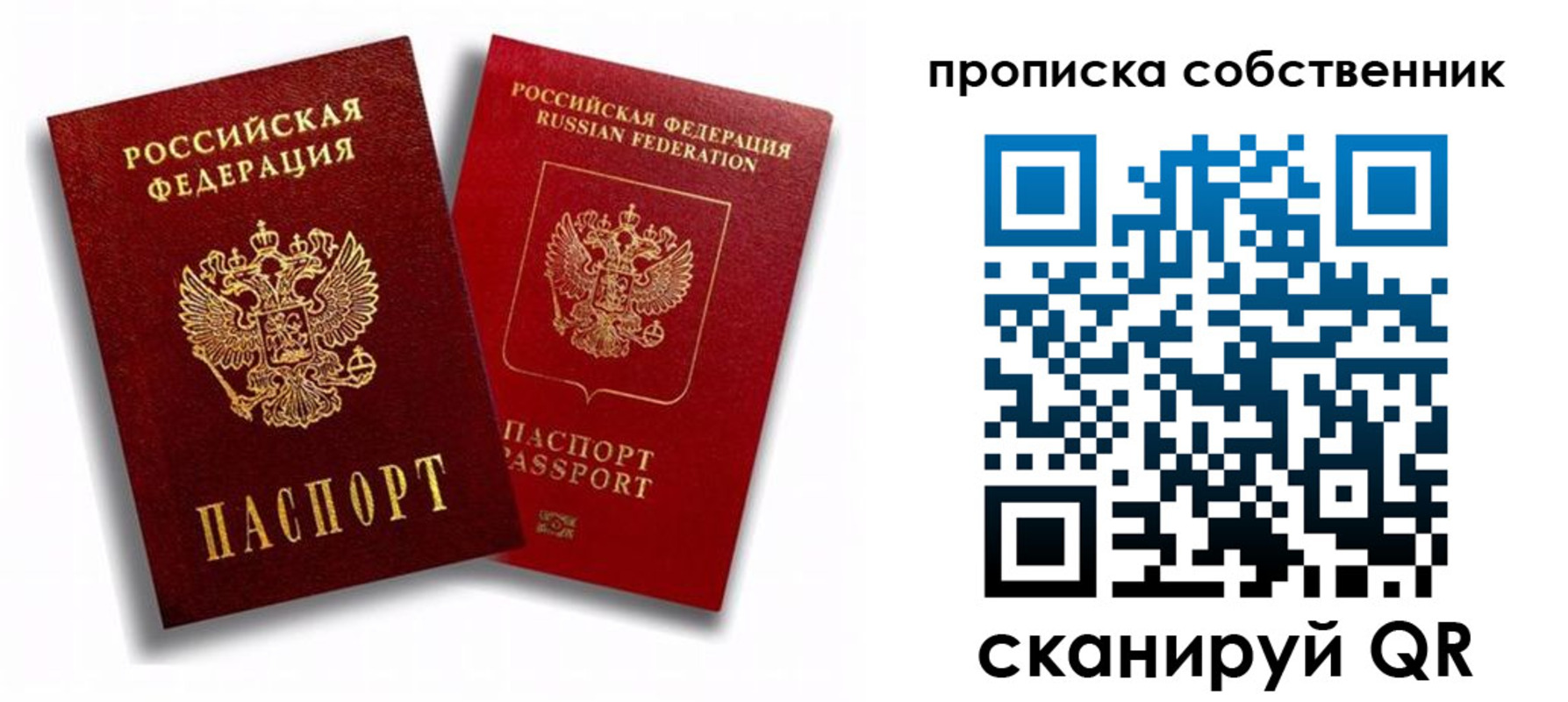 прописка 2025 в Сафоново